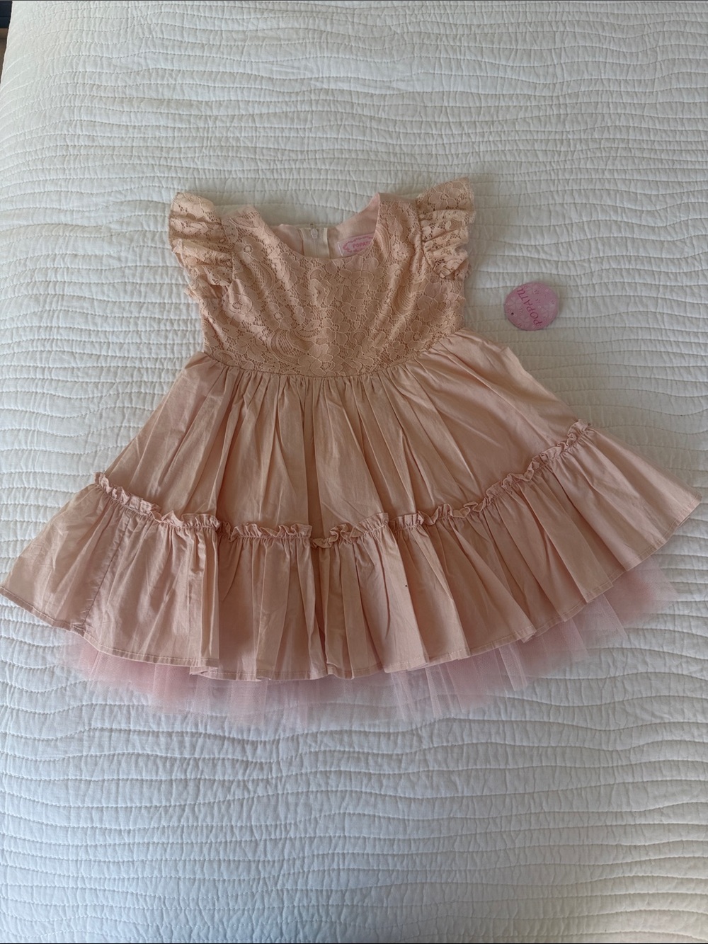 Girls Pale pink Ruffle Lace Dress - Charming  Dress